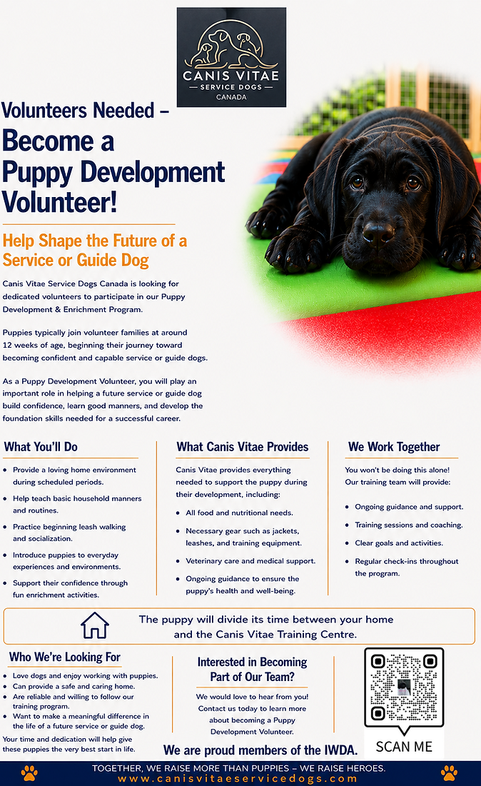 Puppy Volunteers.PNG
