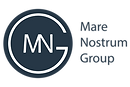 MN Group Logo Final 2.png