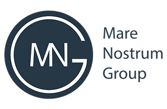 MN Group Logo Final 2.png