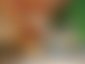 Onde tomar café na região do aeroporto de Curitiba antes das 8h