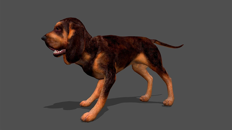 Thumbnail: Ultimate animal 3D bundle with 100+ realistic animated models for games and films