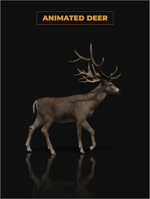 Realistic animated Deer 3D model for games with high quality textures and game-ready optimization for Unity and Unreal Engine