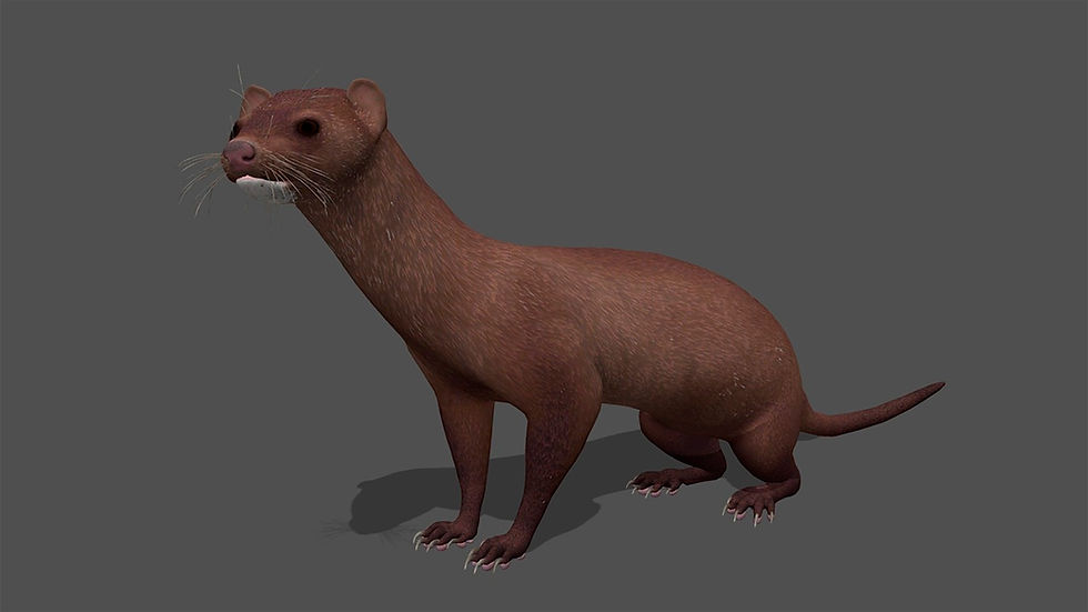 Thumbnail: Ultimate animal 3D bundle with 100+ realistic animated models for games and films