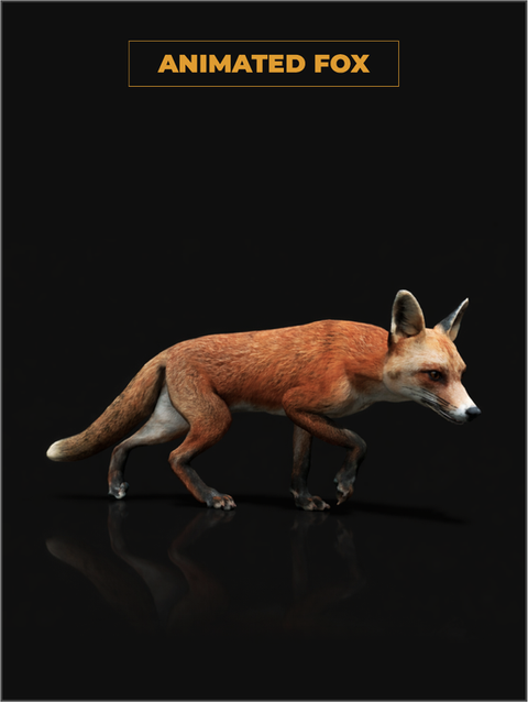 Realistic animated Fox 3D model for games with high quality textures and game-ready optimization for Unity and Unreal Engine
