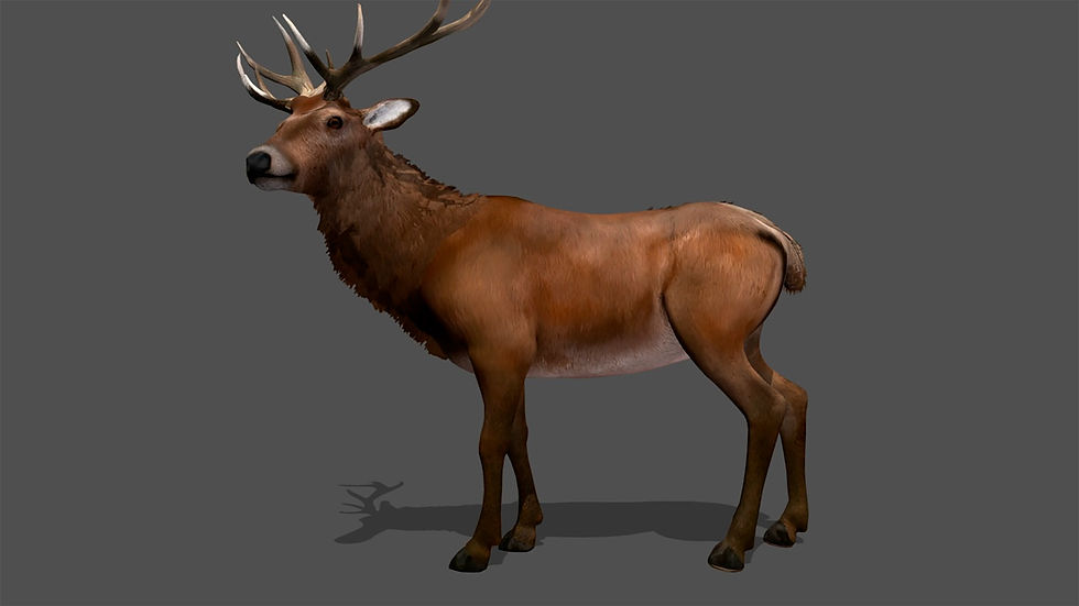 Thumbnail: Ultimate animal 3D bundle with 100+ realistic animated models for games and films