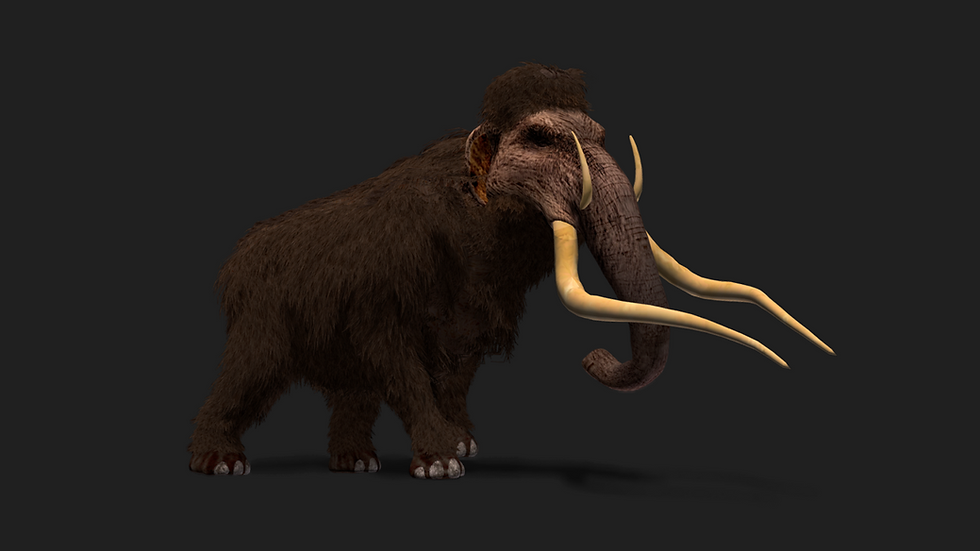 Thumbnail: Ultimate animal 3D bundle with 100+ realistic animated models for games and films