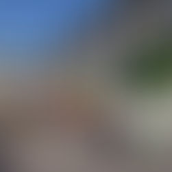 あいさつ運動を行いました