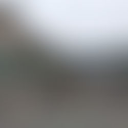 乙訓一斉あいさつ運動