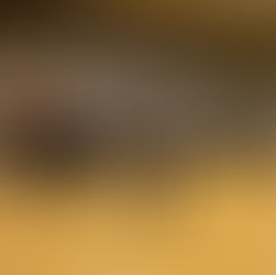 軽スポーツ交流大会に参加しました。