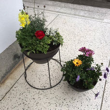 花咲ボランティアさんの活動 vol.4