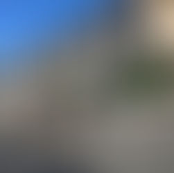 挨拶運動を行いました