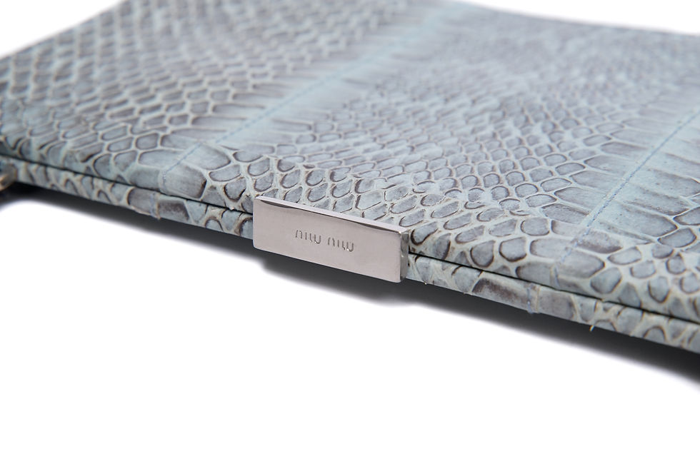Thumbnail: Miu Miu S/S2000 Snakeskin Crossbody Frame Bag in Blue