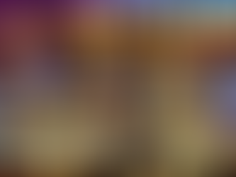 A vibrant cookbook cover featuring diverse small plate dishes bursting with flavor and creativity.