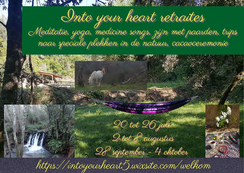 Into your heart retreat Meditation, yoga, medicine songs, being with horses and cacao cere
