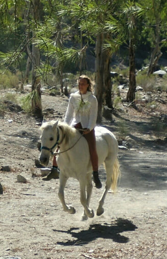 Kim Roswitha, founder of Wisdom of Horses