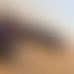 Get Lost in the Magic: A Dubai Travel Tale You've Never Heard Before