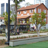 מתוך סיור בשרונה