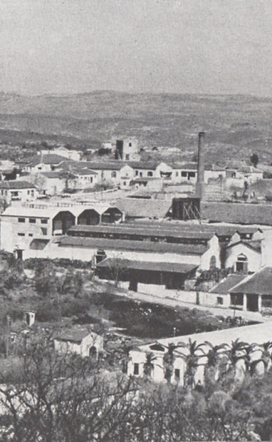 סיורים בזכרון יעקב