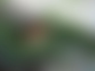 What We Need to Figure Out at NAHA 2026 in Montreal