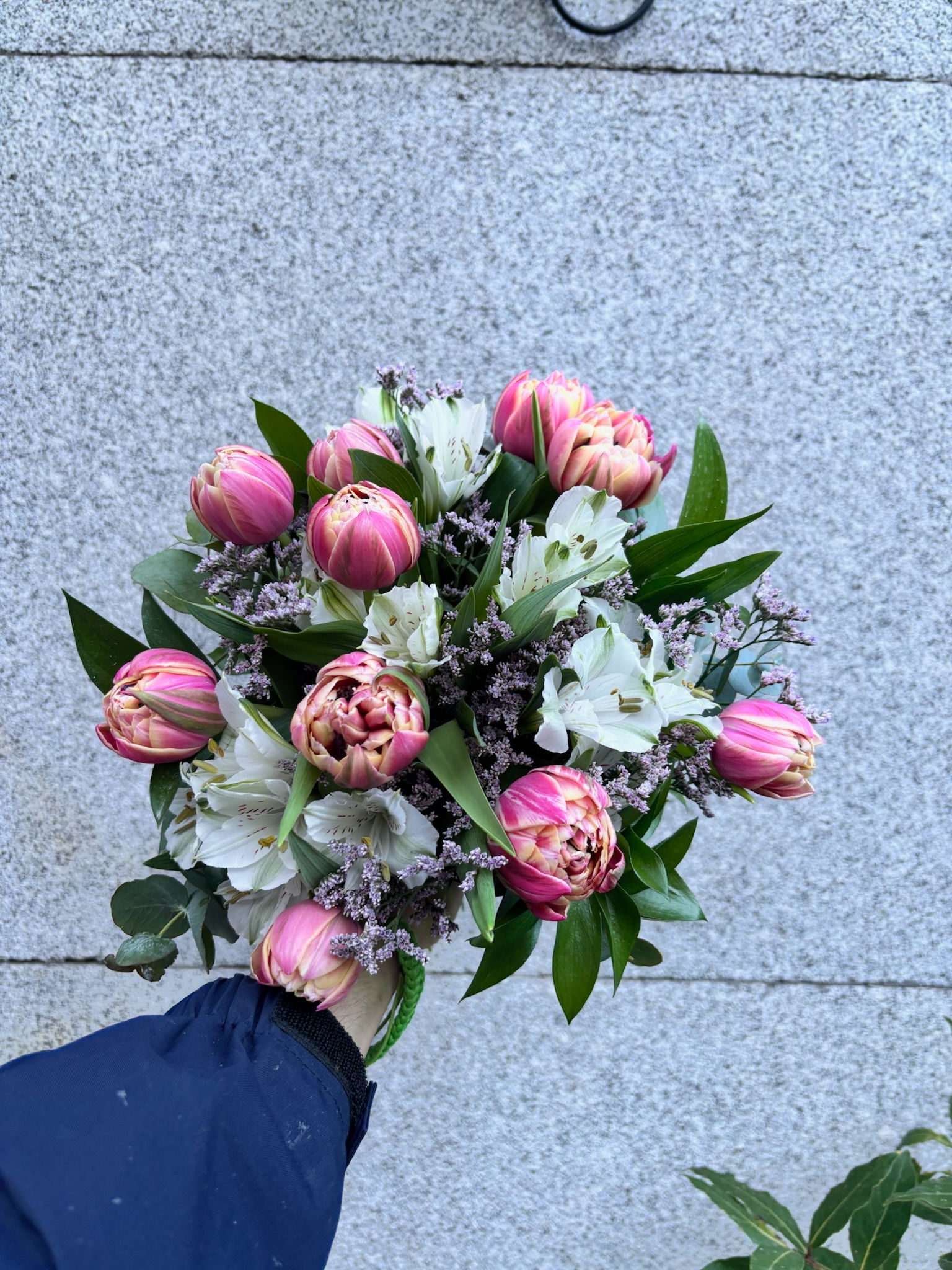 Ramo Elegancia Rosa – Tulipanes Premium