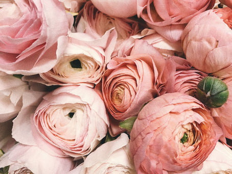 Significado de las Flores: Guía Completa para Elegir el Ramo Perfecto y Decorar tus Eventos
