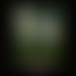 이태리카지노 (ITALY SPORT & CASINO) - 카지노사이트 리뷰