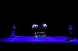 Domadoras de dragones (2015)