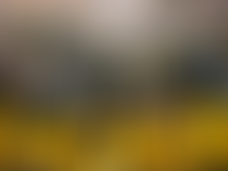 Just a Few Thoughts About Iowa Football After the Purdue Debacle