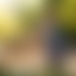 Pessoas autistas e os animais - Tismoo - Psicopedagogia Petrópolis