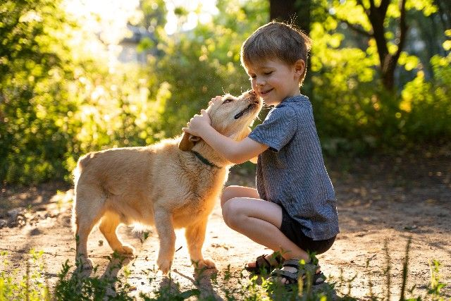 Pessoas autistas e os animais - Tismoo - Psicopedagogia Petrópolis
