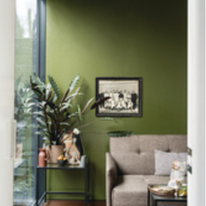 10 Dark green living room ideas 
