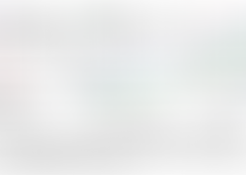 Generalization in Neural Networks