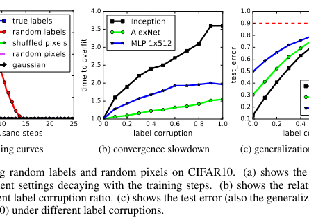 Generalization in Neural Networks