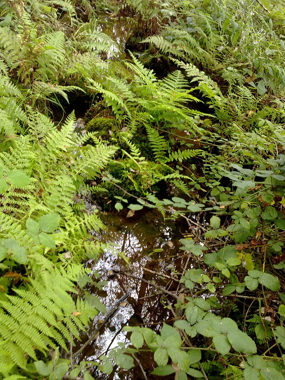 23092011505.jpg
