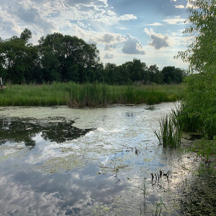 Native-led nonprofit is restoring Dakota land