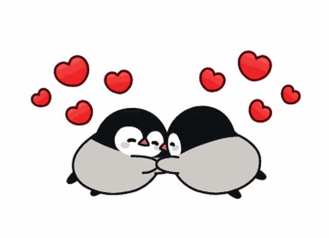 penguin-love.gif