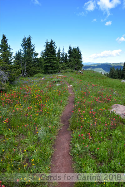 Thumbnail: Peaceful Paths