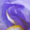 Thumbnail: Pretty Petals