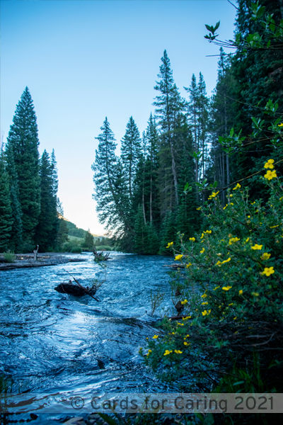 Thumbnail: Sparkling Streams