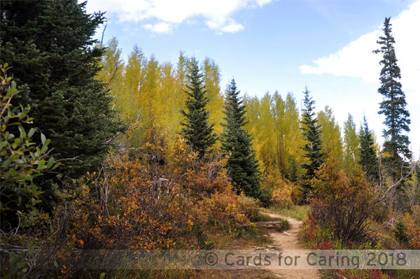 Thumbnail: Peaceful Paths