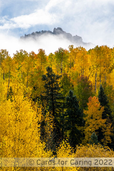 Thumbnail: Outstanding October