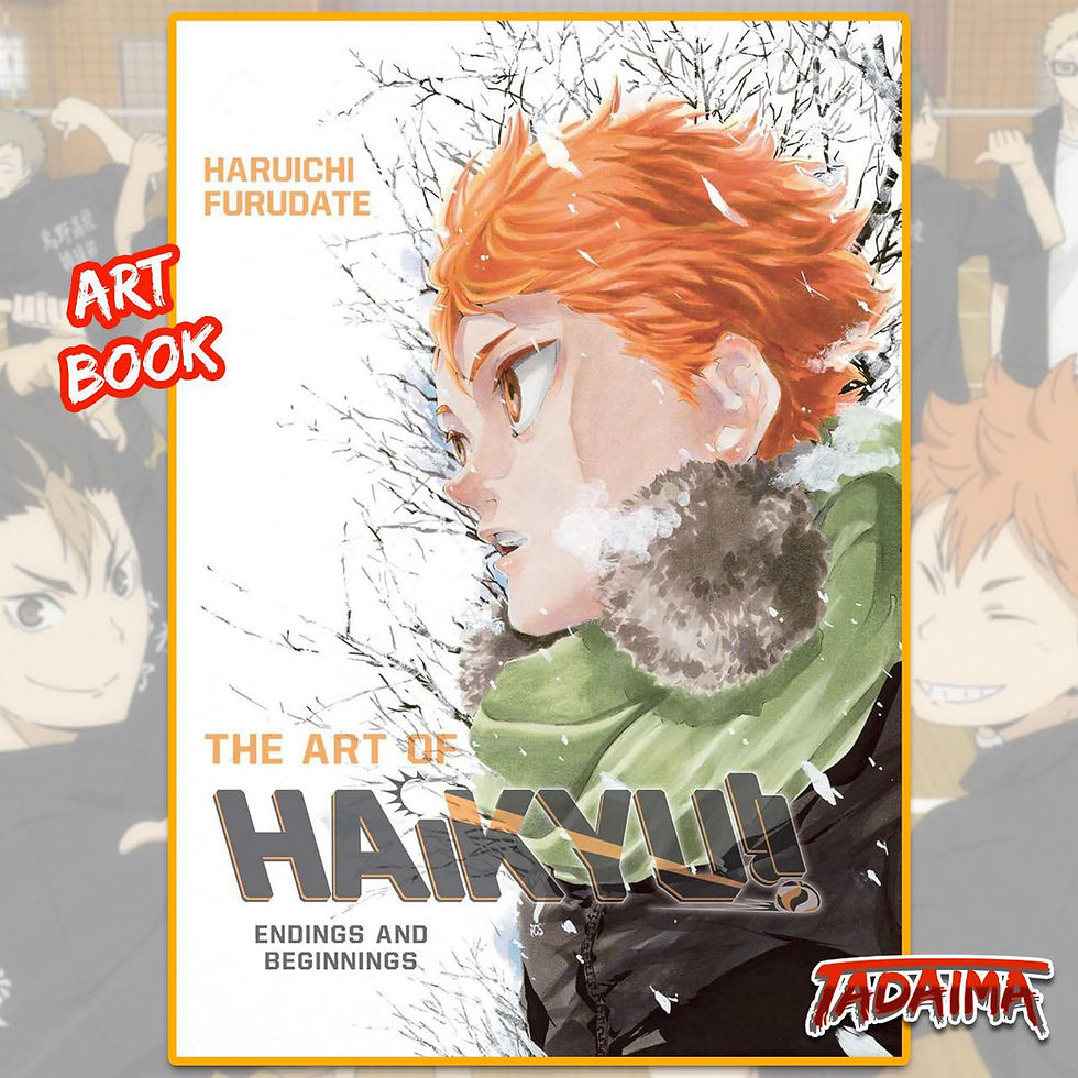 Art Book Haikyu!