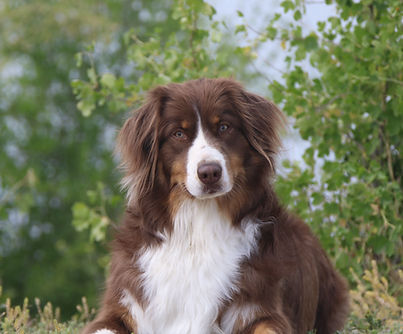 6Z0A4249 - Copy (2).JPG