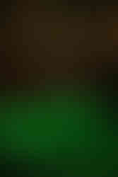 Binnenzwembad en hottub met sterrenhemel