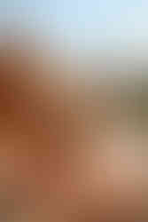 Poes op stoel met bergtoppen op de achtergrond