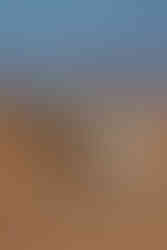 Een antilope in een natuurpark