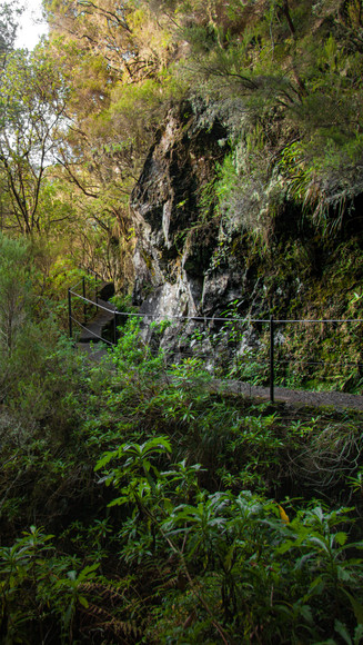 Wandelpad langs een bergklif in de jungle