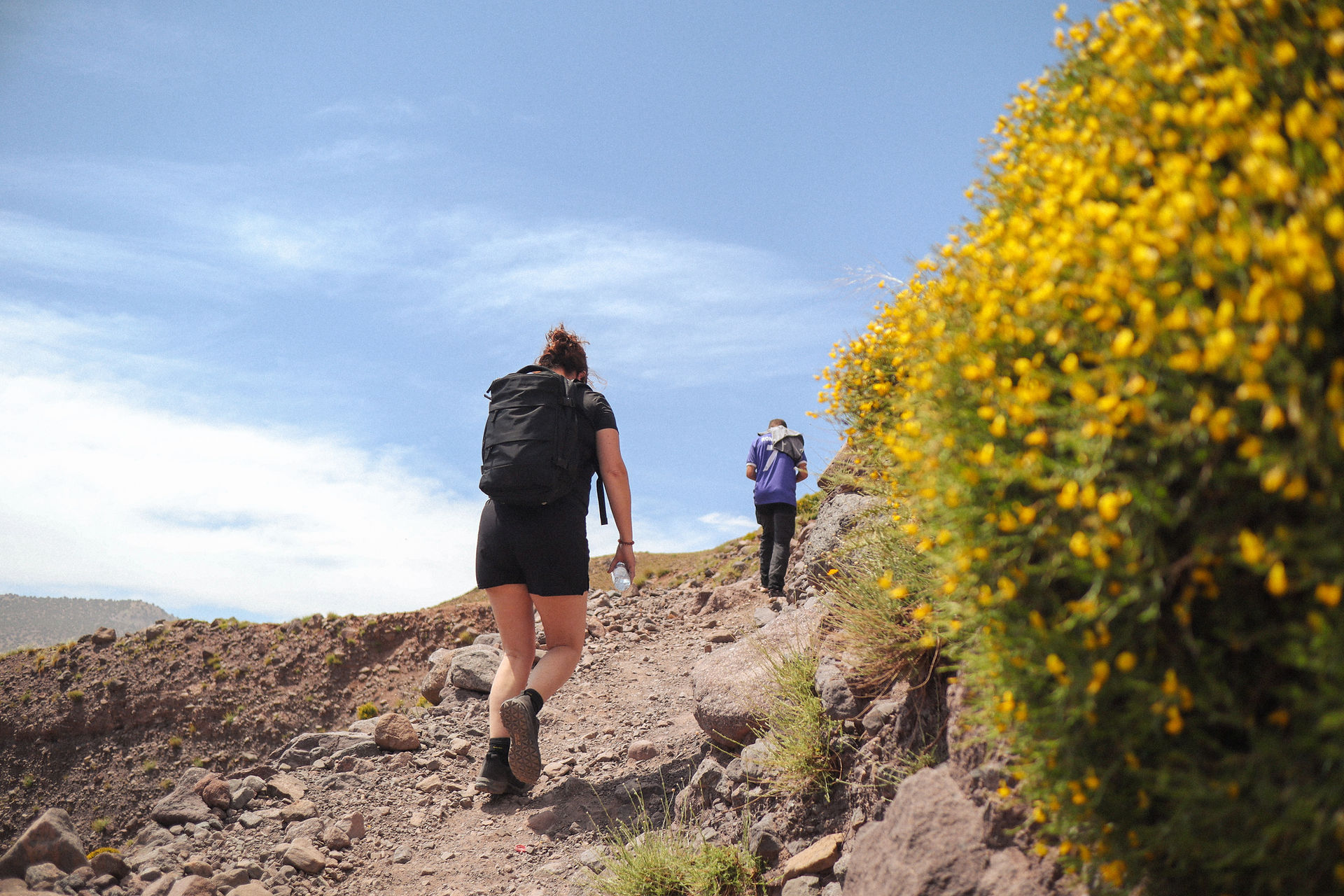 Twee mensen wandelen in de bergen met gele bloemen
