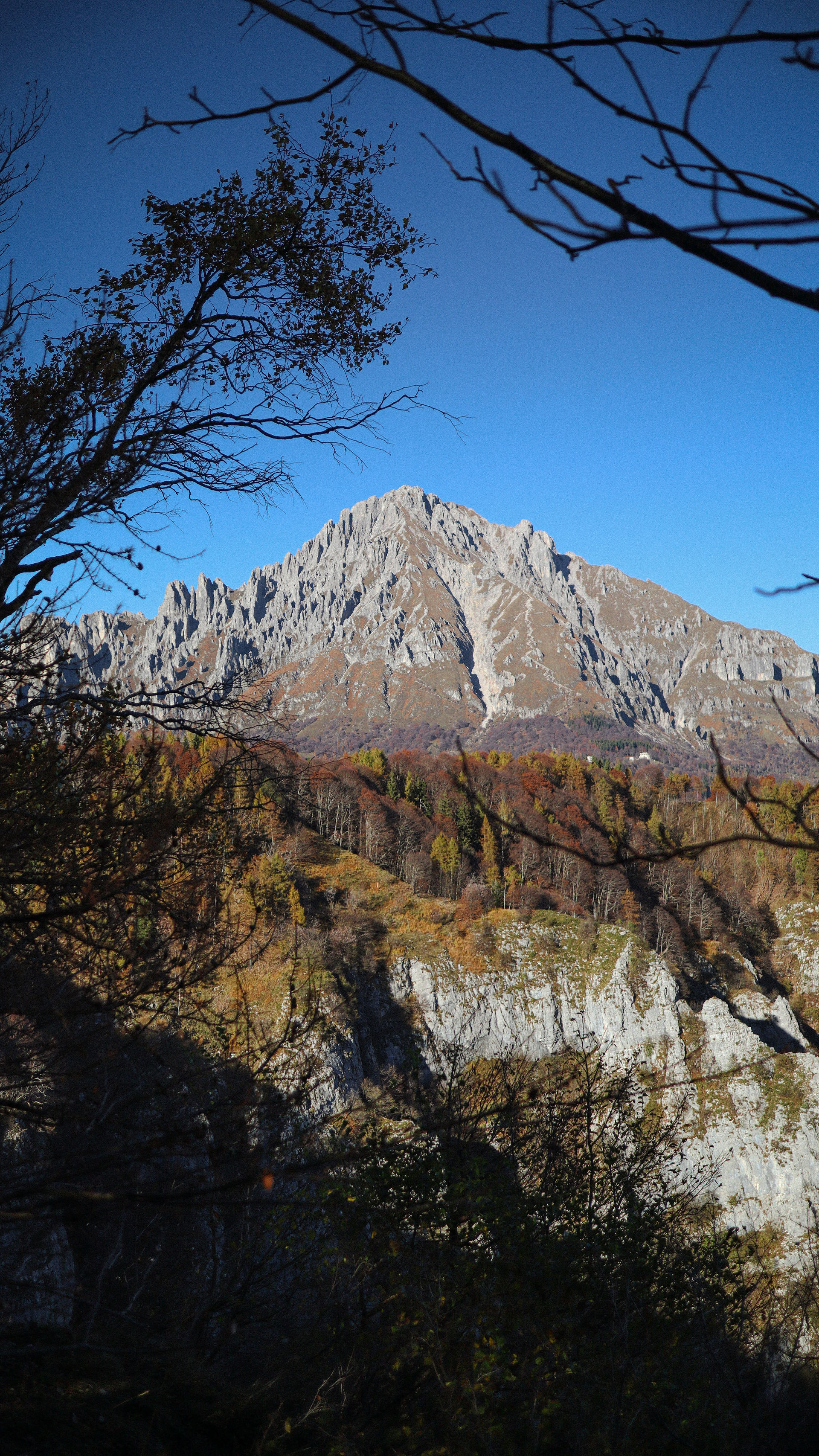 Bergtop