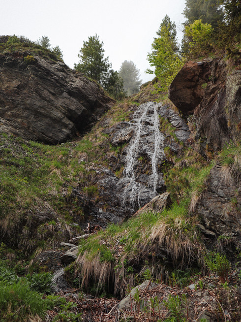 Waterval over rotsen in dennenbos
